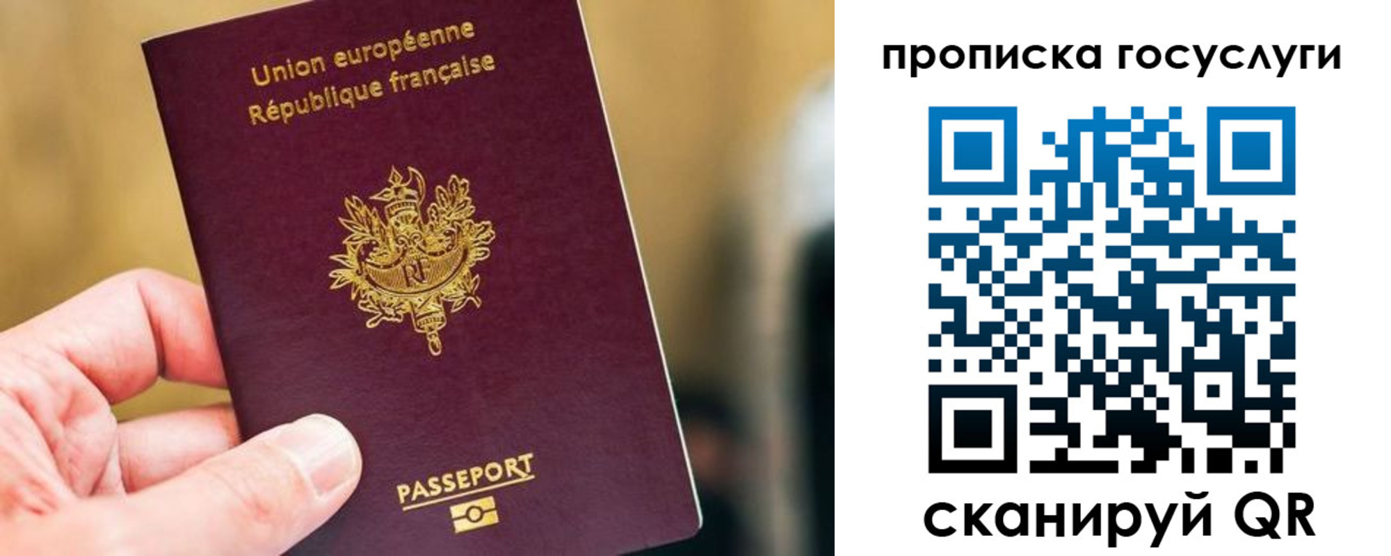 временная регистрация поиск в Петропавловске-Камчатском